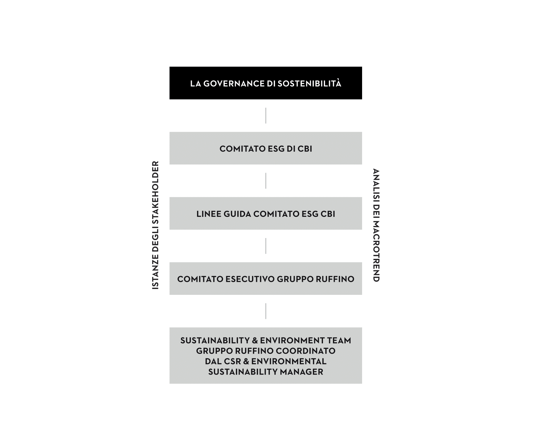 Requests from stakeholders, Analysis Macro Trends: Sustainability Governence, CBI ESG Committee, CBI ESG Committee Guidelines, Ruffino group executive Committee, Ruffino Group Sustainability & Enviornment team coordinated by the CSR & environmental sustainability manager