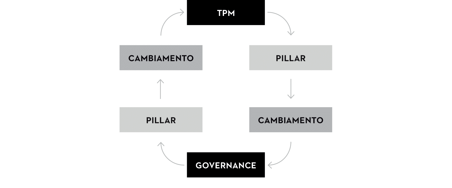 flow diagram showing Cyclic process between TPM to PILLAR to CHANGE to GOVERENCE to PILLAR to CHANGE to TPM