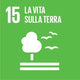 15 la vitta sulla terra
