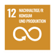 12 responsible consumption and production