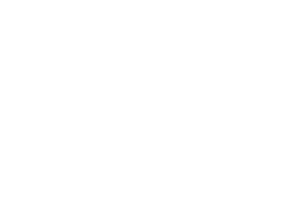 Logo Overlay