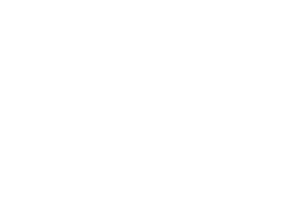 Logo Overlay