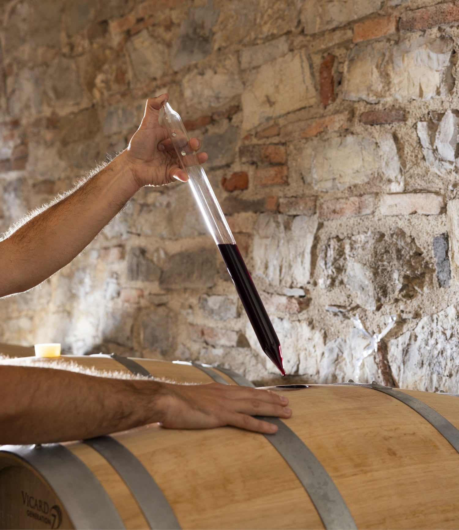 Cantina Ruffino: visits and wine tastings at Tenuta Poggio Casciano