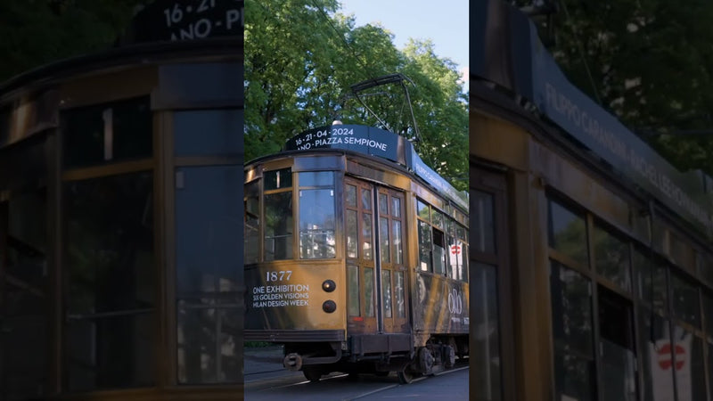 Artist portrait of IL TRAM ORO